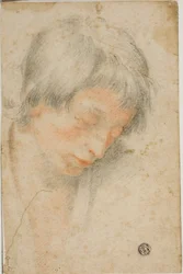 Head of Youth Looking Down
