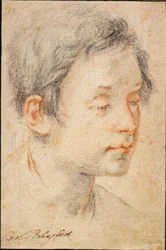 Head of a Young Man Turned to the Right