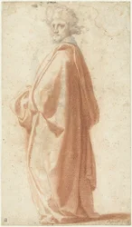 Study of a Model in a Wide Mantle