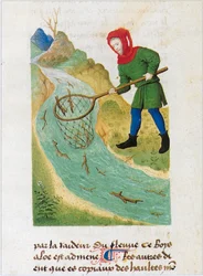 The Book of Simple Medicines - Translation into French from the 12th Century Latin Manuscript of Matthaeus Platearius