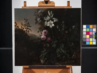 Still Life