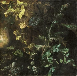 Thistles and Other Plants on a Forest Floor, a Landscape Beyond (Fragment)
