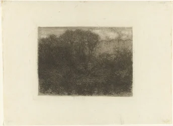 Woodland Pond