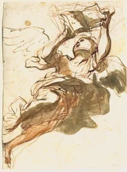 Flying Angel