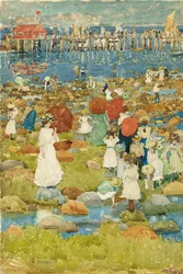 Stony Beach