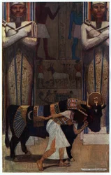 The Girl Wife and the Bath Bull