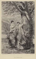 The Cherry Tree