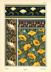 The Poppy