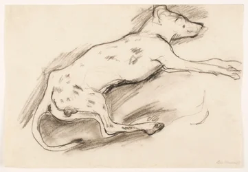 Dog with Black Spots