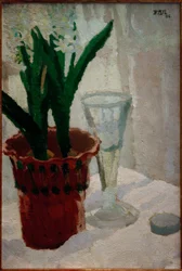 Hyacinths