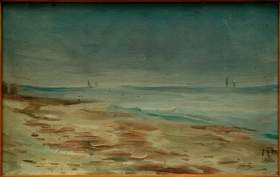 Seashore, Brown and Gray