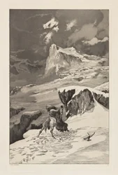 Fighting Centaurs