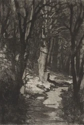 In the Forest, from Dramas, Opus IX