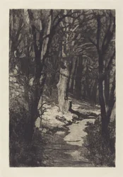 In the Forest, 1883