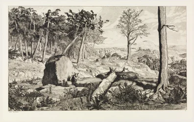 Simplicius in the Forest Wilderness (Intermezzi, Opus IV, Plate 10)