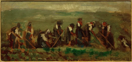 Worker in the Beet Field - Composition Study