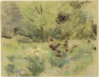 Flowers and Trees
