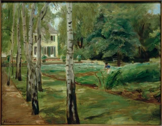 The Birch Avenue in Wannsee Garden Facing West