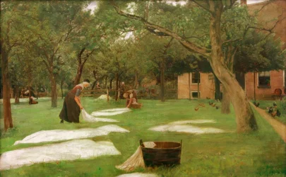 The Lawn Bleach