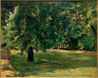 Garden Bench under the Chestnut Tree in Wannsee Garden