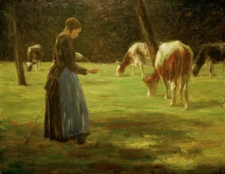Cowherd