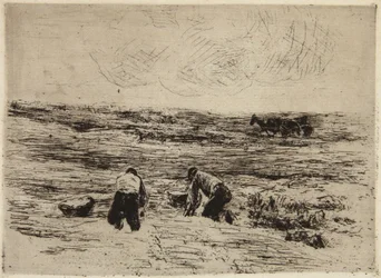 The Potato Farmers