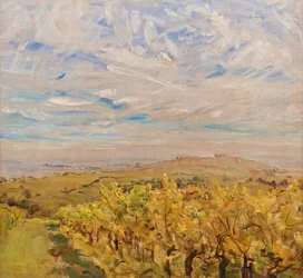 Early Autumn in the Palatinate. Vineyards near Neukastel