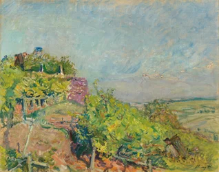 Wine Harvest at Neukastel