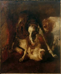 Dog Playing with Cat