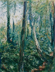 Forest Path