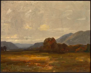 Landscape