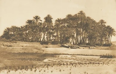 View of Elephantine Island, opposite Aswan, 1849-50