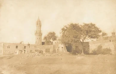 View taken at Beni-Souef, 1850