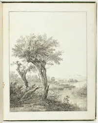 Studies of Trees for Beginning Landscape Artists
