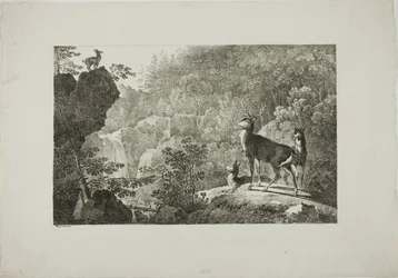 The Stag and the Chamois