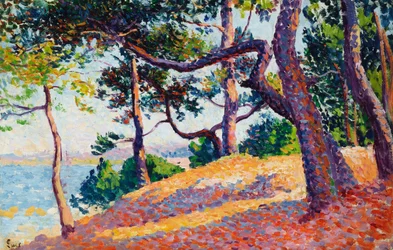 Landscape in Saint-Tropez