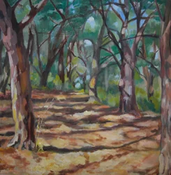 Dappled Forest Path