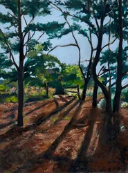 Forest Trail Long Shadows