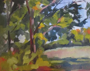 Green Forest Sunlight