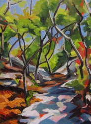 Sunlit Woodland Walk
