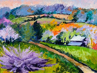 Vibrant Countryside Home