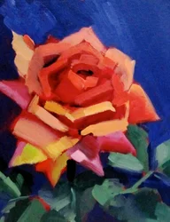 Vibrant Rose Bloom