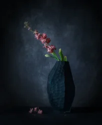 Dark Floral Elegance