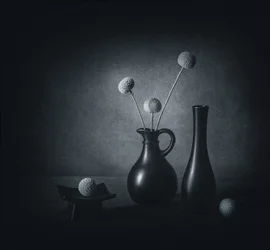 Dark Floral Still Life