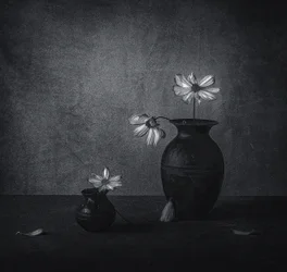 Fading Floral Still Life