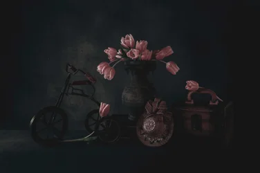 Moody Tulips Still Life