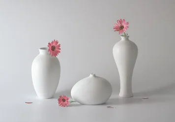 Serene Floral Vases