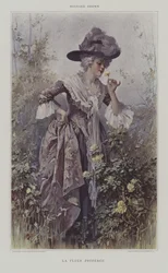 The Favourite Flower