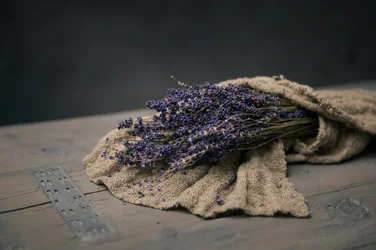 Dried Lavender Bundle