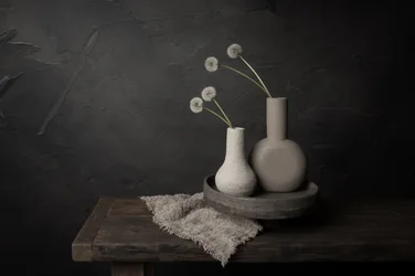 Minimalist Floral Vases